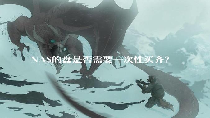 NAS的盘是否需要一次性买齐？