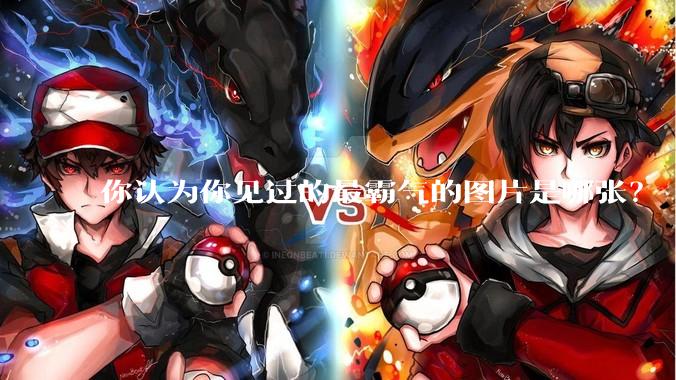 你认为你见过的最霸气的图片是哪张？