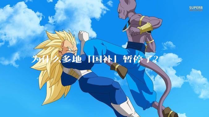 为什么多地「国补」暂停了？