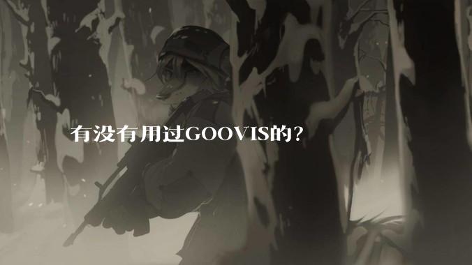 有没有用过GOOVIS的？